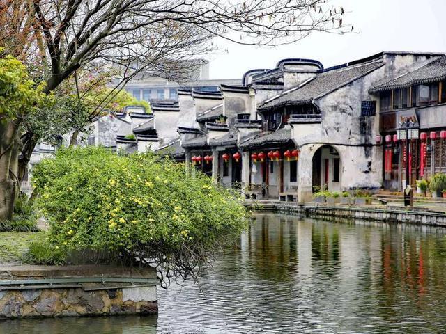 山东省司法厅召开2023年度党组织书记抓基层党建工作述职评议会议